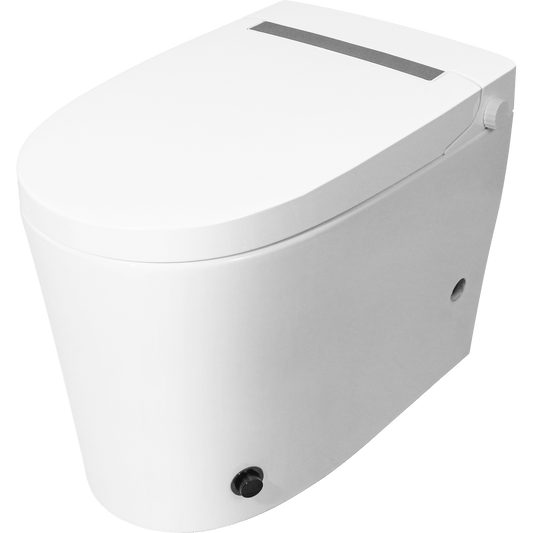 Non-electric smart toilet